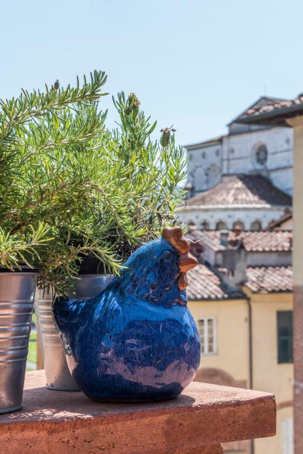 Terrazza Coccode' Spazioso Con Vista Mozzafiato! Лукка Экстерьер фото