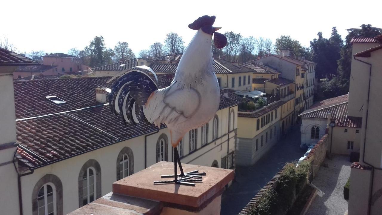 Terrazza Coccode' Spazioso Con Vista Mozzafiato! Лукка Экстерьер фото
